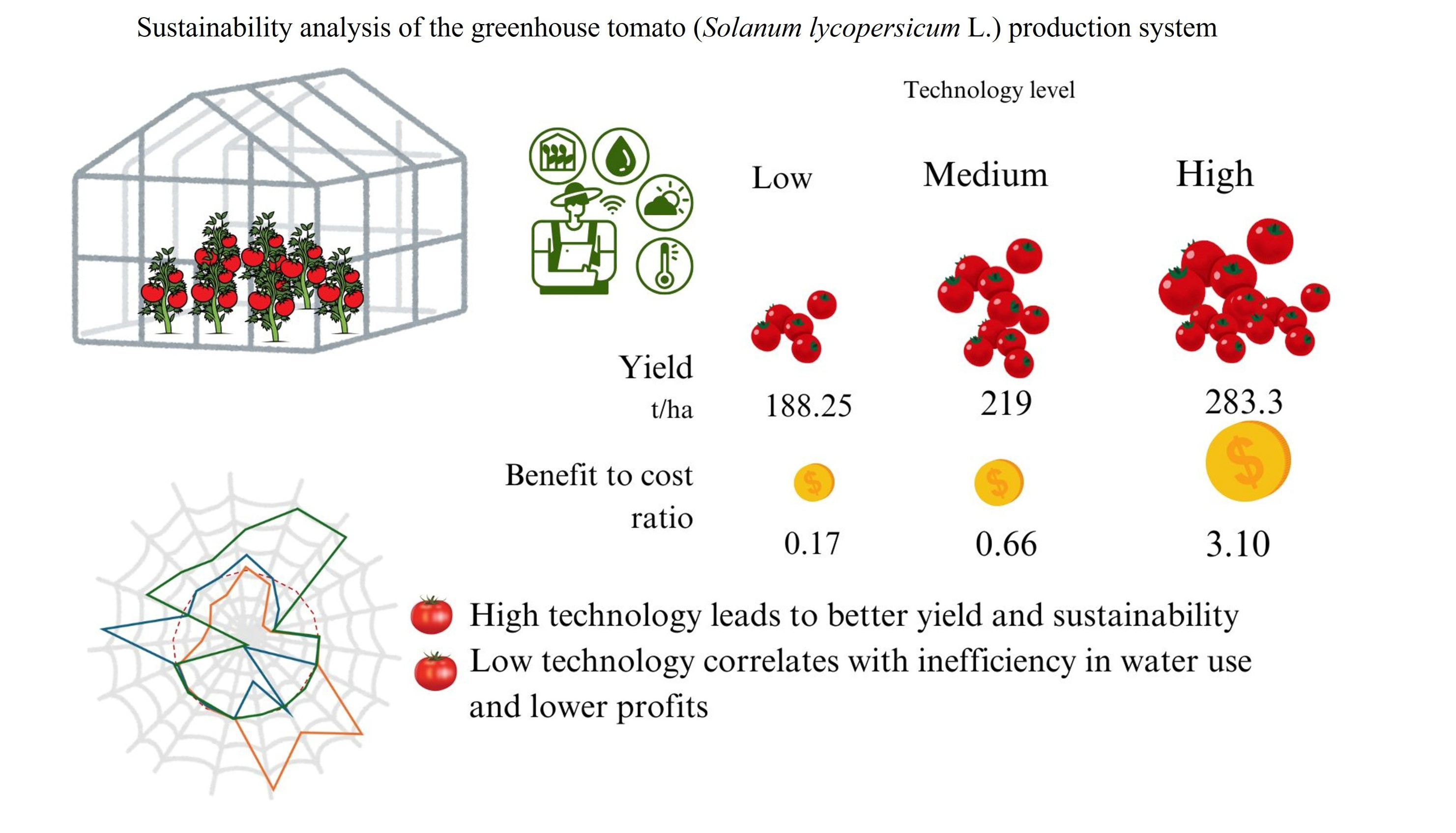 Graphical Abstract